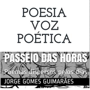 POESIA VOZ POÉTICA