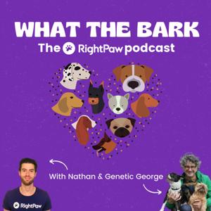 What The Bark - The RightPaw Podcast