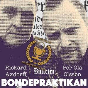 Bondepraktikan