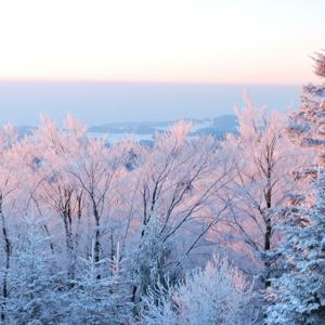 Merry Christmas, Pop Pop and Grandmom!