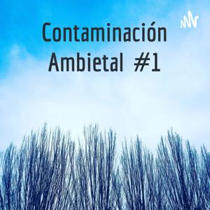 Contaminación Ambietal 🌡️🌫️🍃 #1