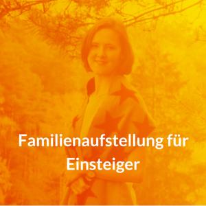 Familienaufstellung für Einsteiger