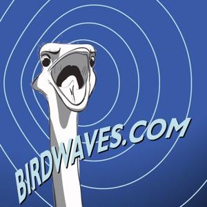 Birdwaves Media Presents: The ProgCast