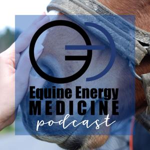 Equine Energy Medicine by Audrey Mclaughlin