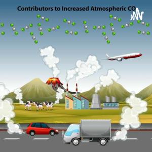 Contaminacion Del Aire