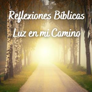 Reflexiones Bíblicas - Luz en mi Camino