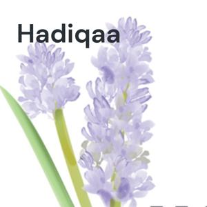 Hadiqaa - Gardening in the Gulf