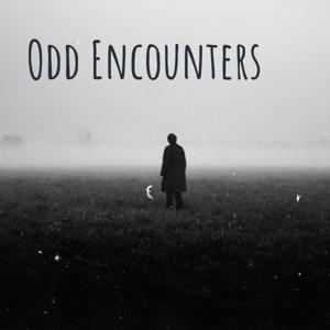 Odd Encounters