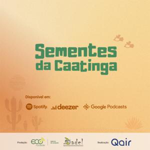 Sementes da Caatinga