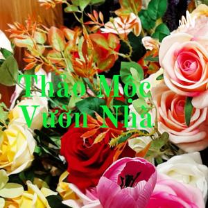 Thảo Mộc Vườn Nhà