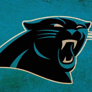 Ty's Panther Podcast