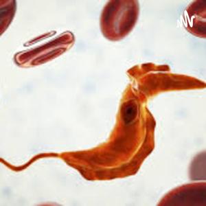 Trypanosoma