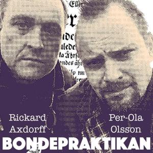 Bondepraktikan