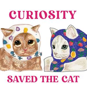 Curiosity saved the cat