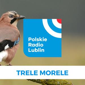 Trele morele w Radiu Lublin