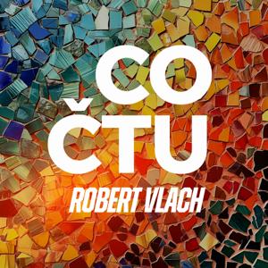 Co čtu (Robert Vlach)