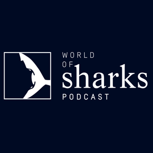 World of Sharks by Save Our Seas Foundation