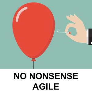 No Nonsense Agile Podcast by Murray Robinson & Shane Gibson