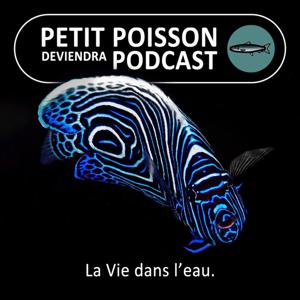 Petit Poisson deviendra Podcast by Marc Mortelmans et Bill François