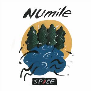 NUmile Supported by SPICE