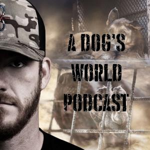 A Dog's World - Breaking The Chains