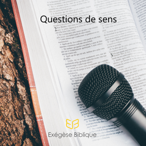 Questions de sens