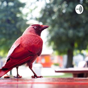 آی قصه قصه قصه by جمشید مهتاش