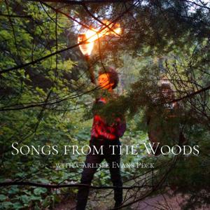 Songs from the Woods