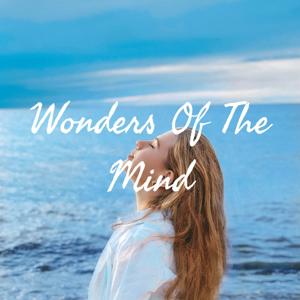 Wonders Of The Mind