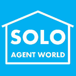 Solo Agent World