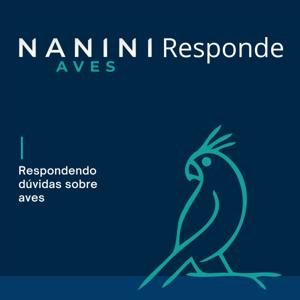 Nanini Aves Responde