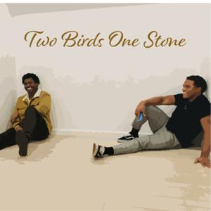 Two Birds 1 Stone