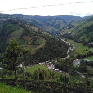 Energías Rocío Molina