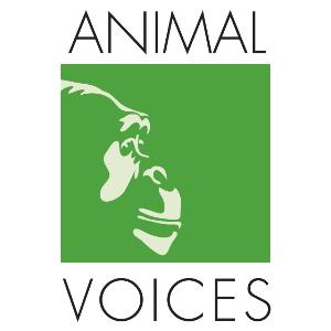 Animal Voices