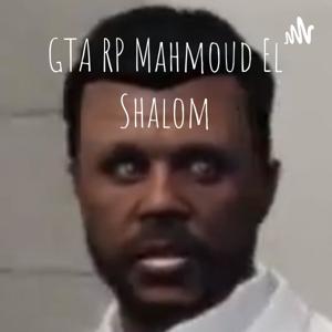 Talks mit Mahmoud El Shalom