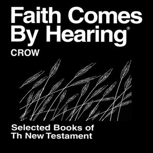 Crow Bible (Books of New Testament)