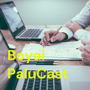 Boyai PaluCast