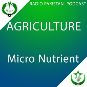 Micro Nutrient