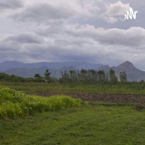 Vinayagam Amma Vin Yosanai