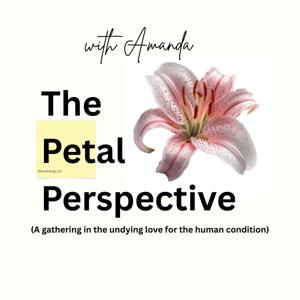 The Petal Perspective