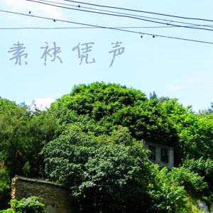 白梧禅