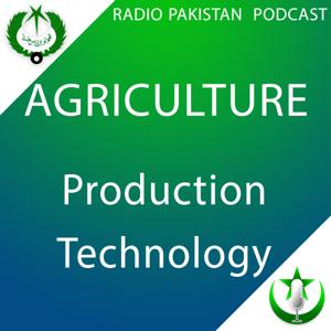 Production Technology