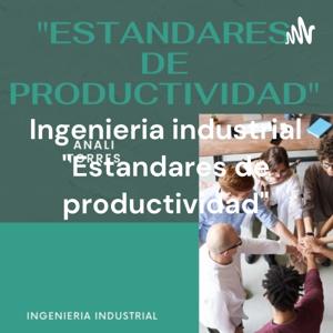 Ingenieria industrial "Estandares de productividad"