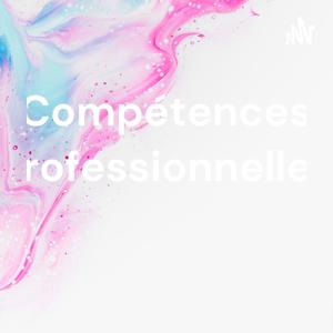 Compétences Professionnelles