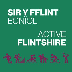 Sir y Fflint Egnïol // Active Flintshire