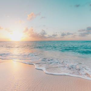 Basic Life Support by dr Denvin