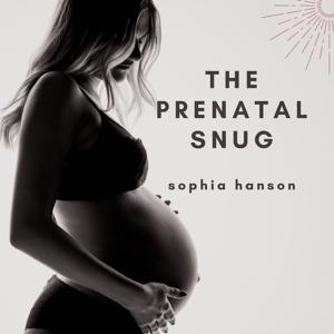THE PRENATAL SNUG