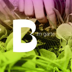 Telebasel im Garte