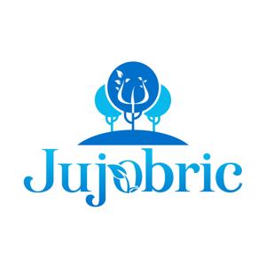 ✨ Jujobric ®⭐ Por Lucia Briceño