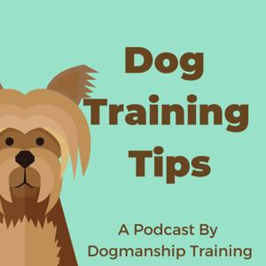 Dog Training Tips